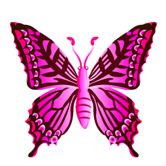 Pink Colorful Butterfly