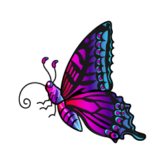 Colorful Butterfly with Side