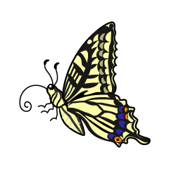 Yellow Swallowtail Butterfly with Side