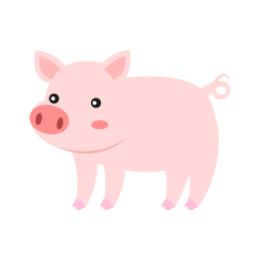 Cute Pig