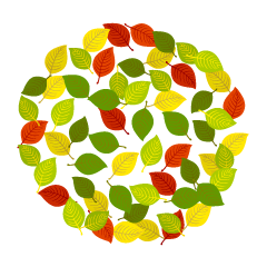 Colorful Leaf Wreath
