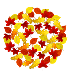 Color Fallen Leaf Wreath