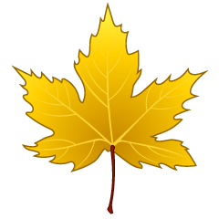 Yellow Maple Leaf