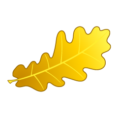 Yellow Acorn Leaf