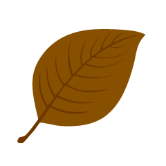 Fallen Leaf