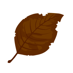 Dead Leaf