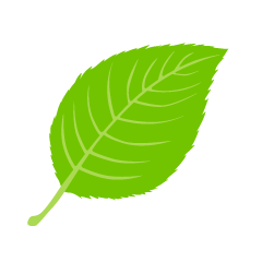 Hoja de otoño