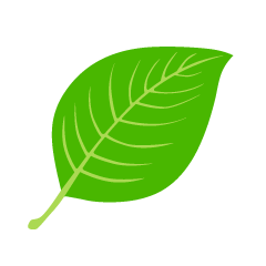 Simple Leaf