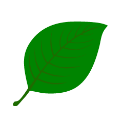 Green Leaf