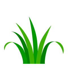 Simple Grass