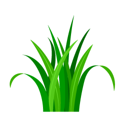 Simple Green Grass