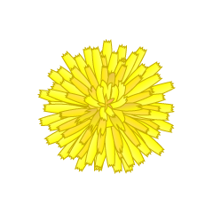 Dandelion Petals