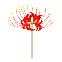 Flor de Lycoris
