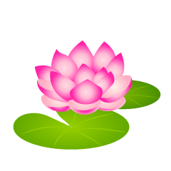 Water Lily Flower