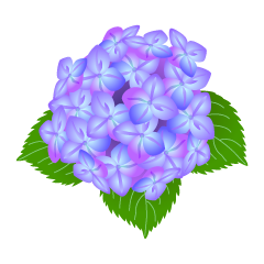 Flor de hortensia