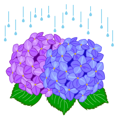 Lloviendo Flor De Hortensia