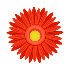 Flor de gerbera