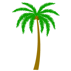 Una palmera