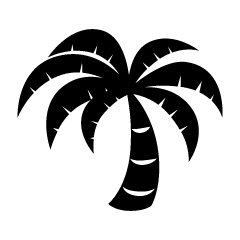 Palmera Blanco y Negro