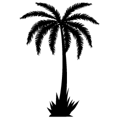 Una palmera en blanco y negro