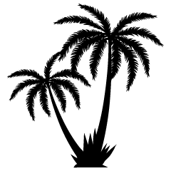 Dos palmeras en blanco y negro