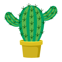 Cactus lindo