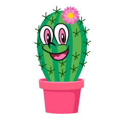 Cactus lindo