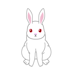 White Rabbit Front