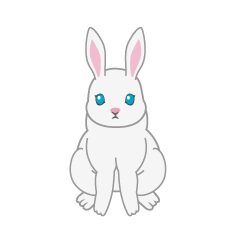 Rabbit Front