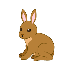 Brown Rabbit