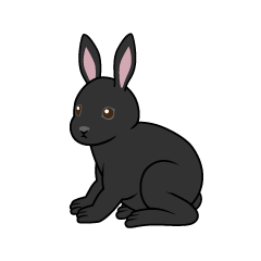 Black Rabbit