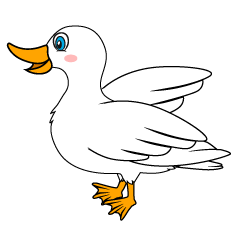 White Duck