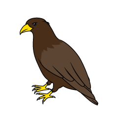 Eagle