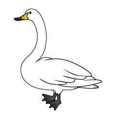 Swan