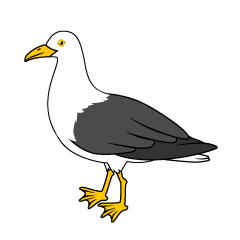 Albatross