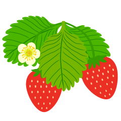 Strawberry Flower