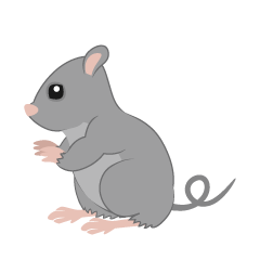 Ratón sentado