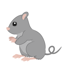 Sitting Mouse