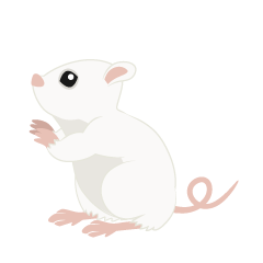 Buscando Ratón Blanco