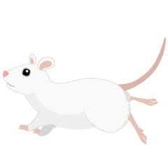 Running White Mouse