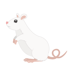Ratón blanco de pie