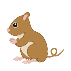 Ratón marrón sentado