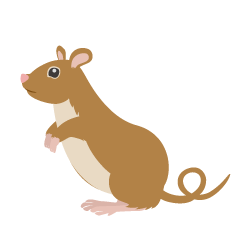 Ratón marrón de pie