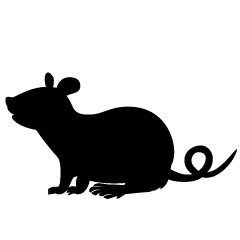 Ratón Blanco y Negro