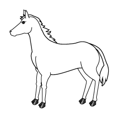 Caballo blanco