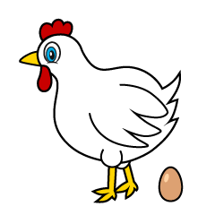 Chicken Egg