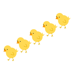 Pollitos caminando en fila