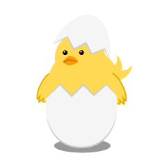Pollito nacido de huevo