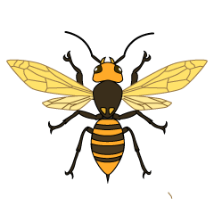 Wasp