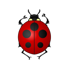 Ladybug